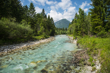 Fototapeta na wymiar Sava Dolinka river, Slovenia