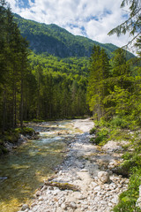 Fototapeta na wymiar Triglavska bistrica river, Slovenia