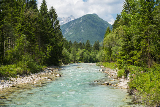 Sava Dolinka river, Slovenia