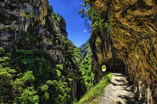 Cares canyon, Picos de Europa Natural Park, Spain