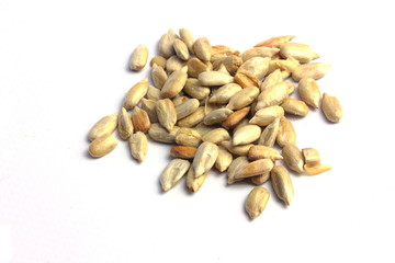 sunflower seeds