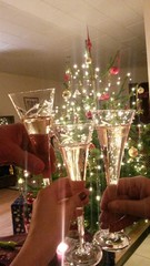 Sekt Gläser vor Tannenbaum
