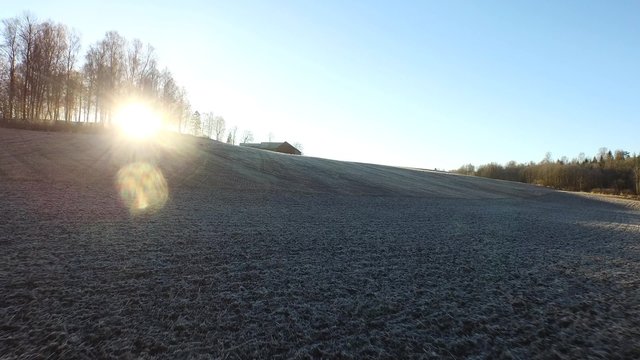 Frozen Field