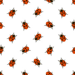 seamless pattern with ladybug on white background