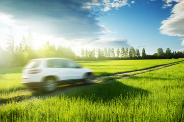 Obraz na płótnie Canvas spring field and blured car on ground road