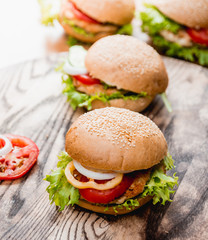 Beautiful big hamburger