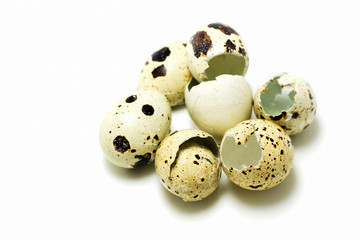 The shell quail egg on a light background