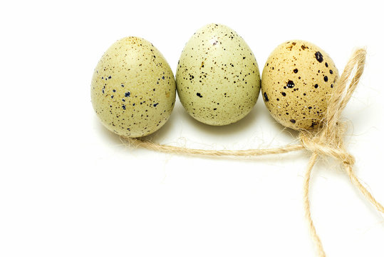 Quail eggs on a light background