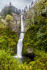 Scenic Multnomah Falls in Oregon