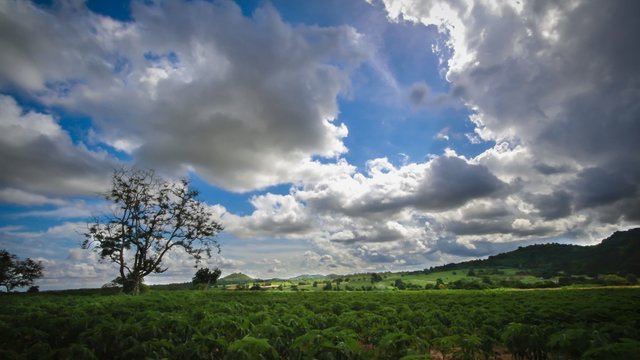 Landscape view of forest with cludy sky , Time lapse