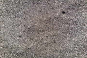 Cracked land as background