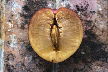 Half slice fresh peach brick background