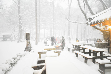 restaurant in snowy forest