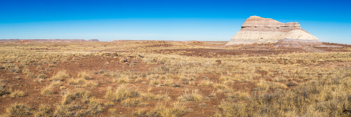 Petrified Forest landscapes.