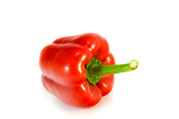BELL PEPPER