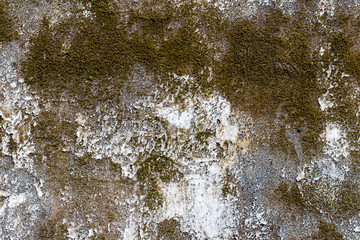 white concrete wall texture