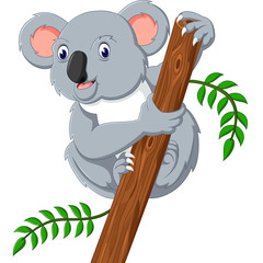 Naklejka premium illustration of cute koala cartoon