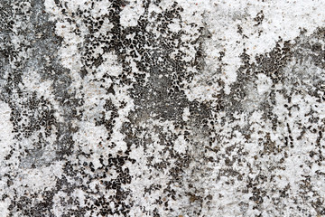 white concrete wall texture