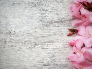 pink floral on white wood background with empty space for text