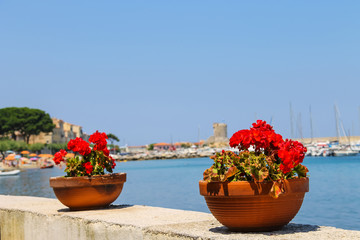 Obraz na płótnie Canvas Decortive pots with flowers on the waterfront on Elba Island. Ma