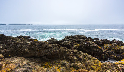 Fototapeta na wymiar Rocky Coastline of Pacific Ocean where Waves Hit Shore near Ucluelet BC, Canada