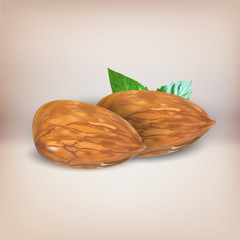 almonds vector object isolated icon