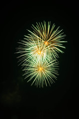 firework in new year festival