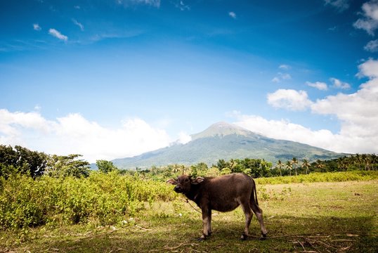 Mt. Canlaon, Philippines
