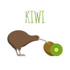 Vector illustration of kiwi bird and kiwi fruit