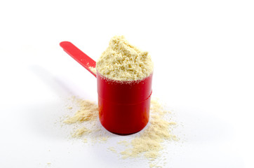 Whey Protein