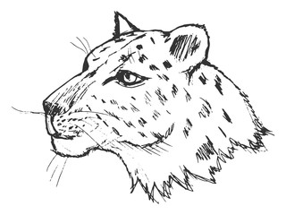 hand drawn, grunge, sketch illustration of leopard