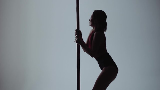 Beautiful Woman Doing Pole Dance, Young Pretty Female Dancing, Fitness And Sport.