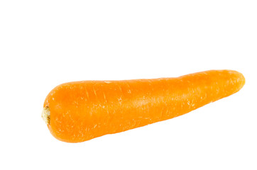 fresh carrots