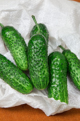 cucumber