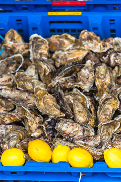 Oysters market in Cancale, France