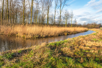 Colorful autumn landscape with a small stream