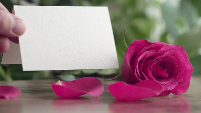 Man's hand puts a greeting card with a rose on the table. St. Valentine's Day