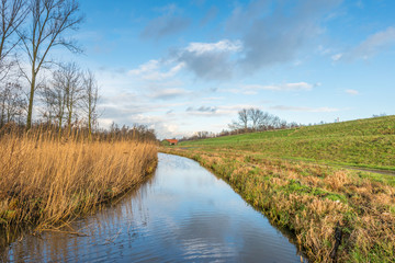 Colorful autumn landscape next to a dike
