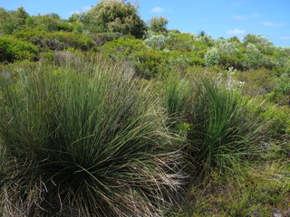 D’Entrecasteaux National Park, Western Australia