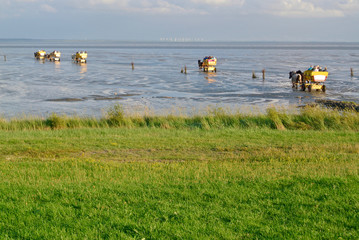 Pferdewagen im Watt vor Neuwerk