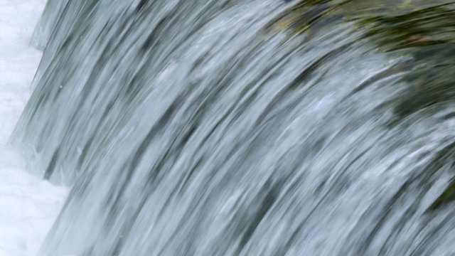 Royalty Free Stock Video Footage of flowing water from Banias Spring shot in Israel at 4k with Red.
