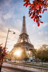 Eiffel Tower with spring tree in Paris, France