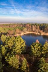 Jezioro pośród lasu