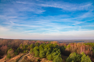 Ścieżką po lesie © Piotr Gołębniak