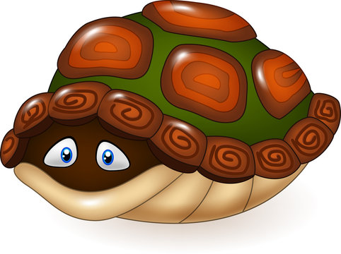 Cartoon funny turtle hides in its shell