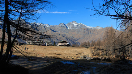 paesaggio invernale senza neve a Motta Alta - Medesimo