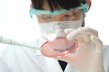 実験（主に微生物イメージ）