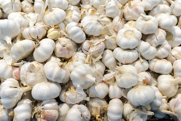 Garlics at the market
