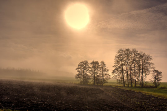 Morgennebel im Herbst