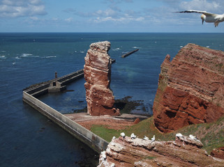 Lange Anna, Heligoland